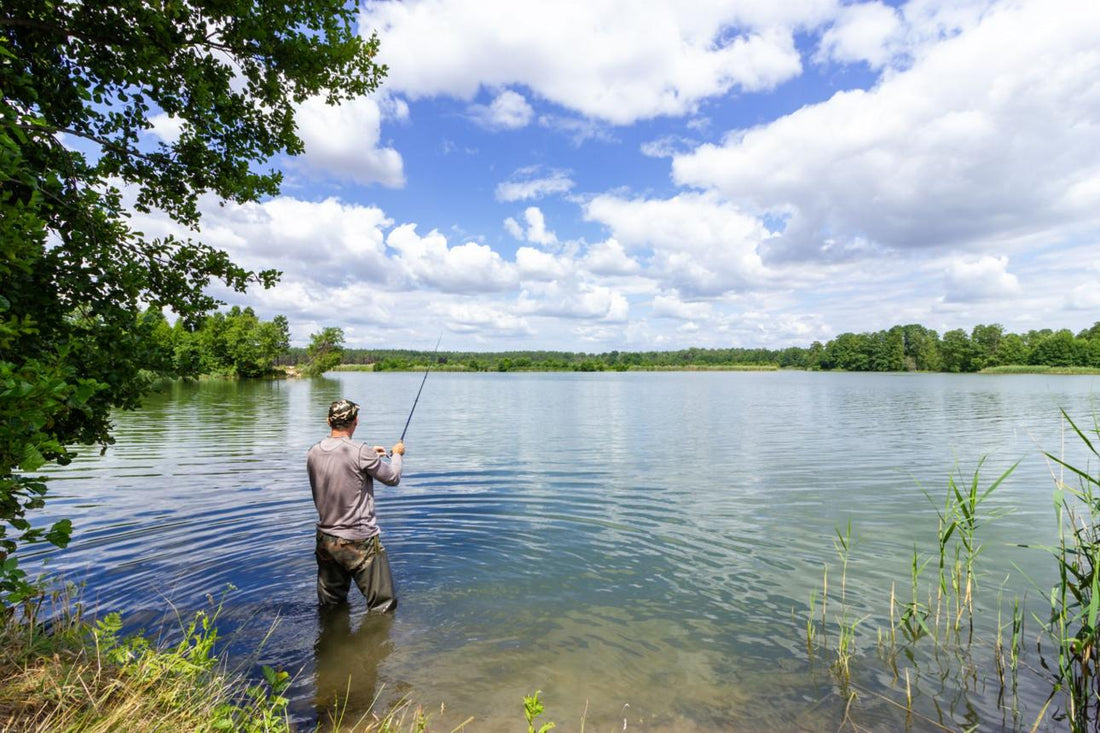 Freshwater Fishing Tips for Summer: Catch More Fish in Warm Weather