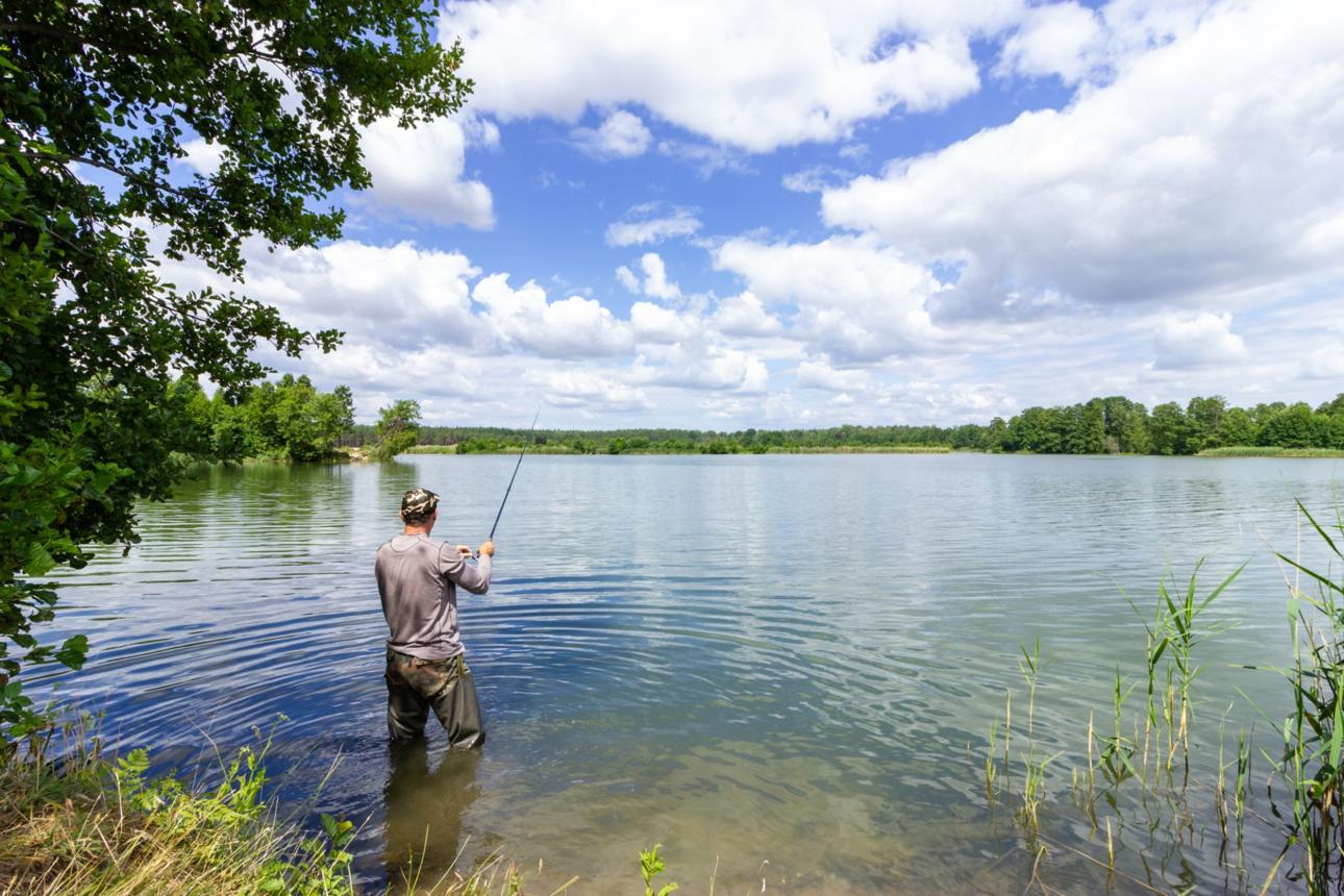 Freshwater Fishing Tips for Summer: Catch More Fish in Warm Weather
