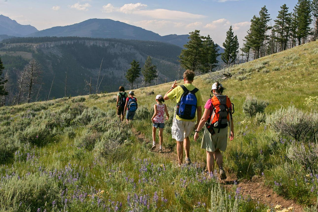 Best National Parks for Families in 2026