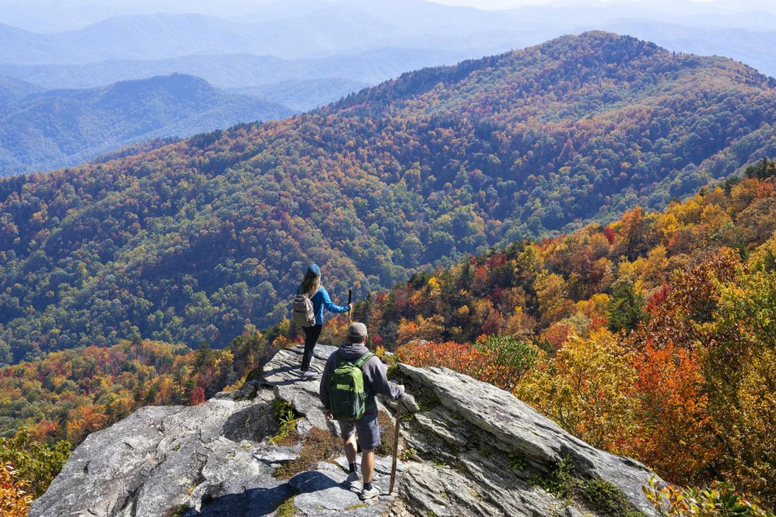 Best National Parks for Fall Camping in the United States
