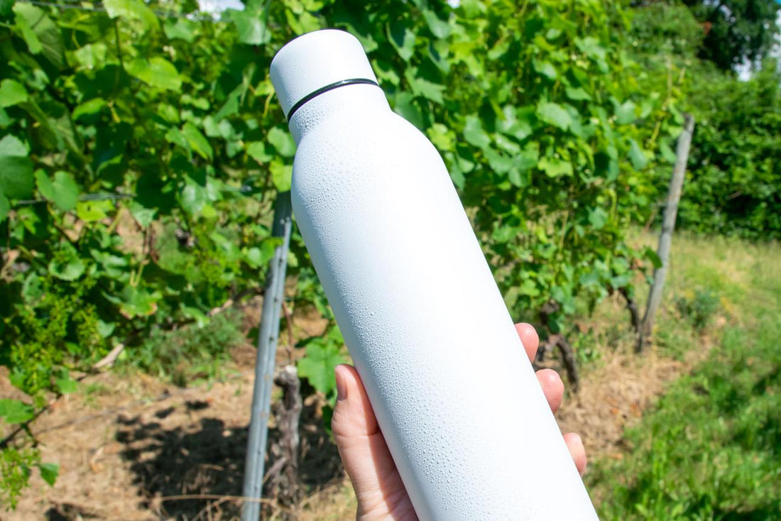 Best Insulated Water Bottles for Summer Adventures in 2026