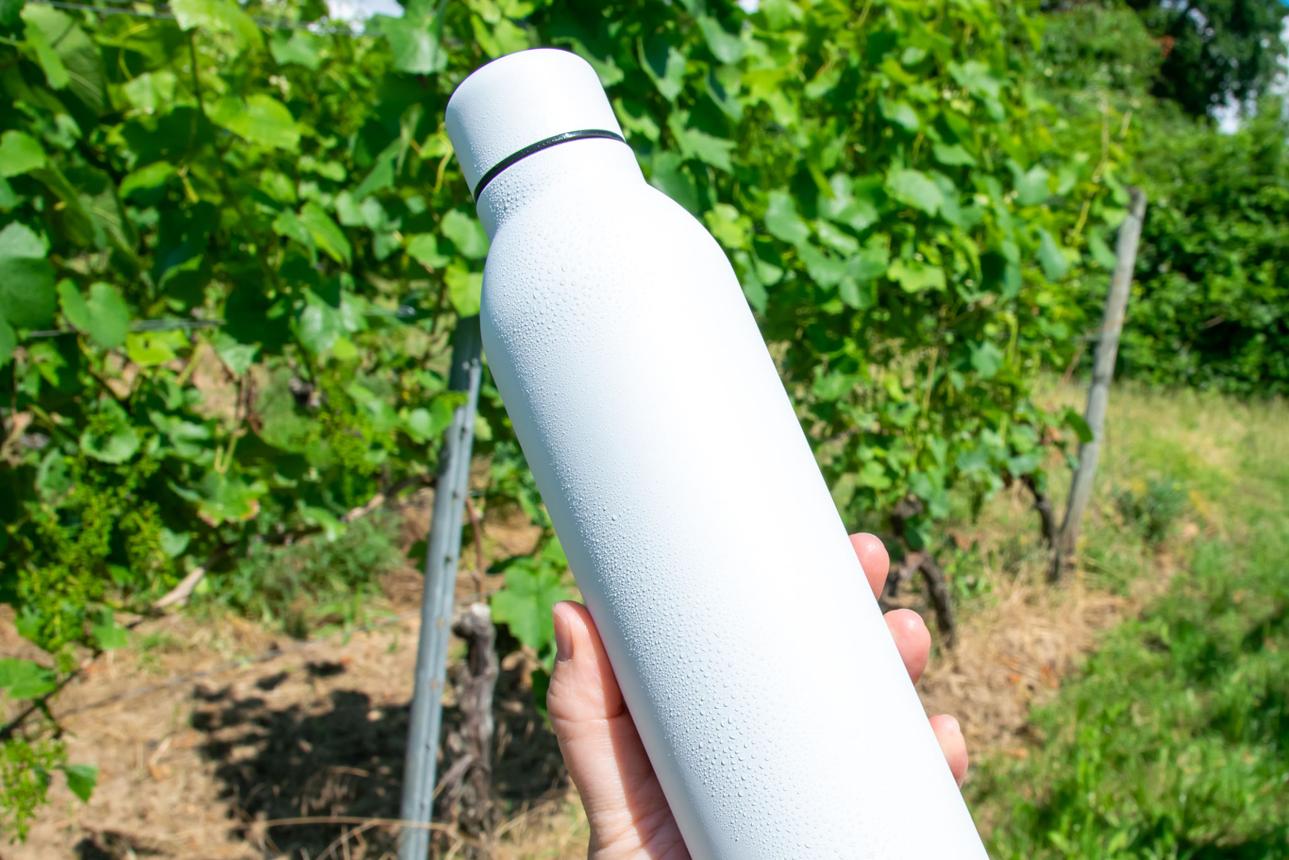 Best Insulated Water Bottles for Summer Adventures in 2026
