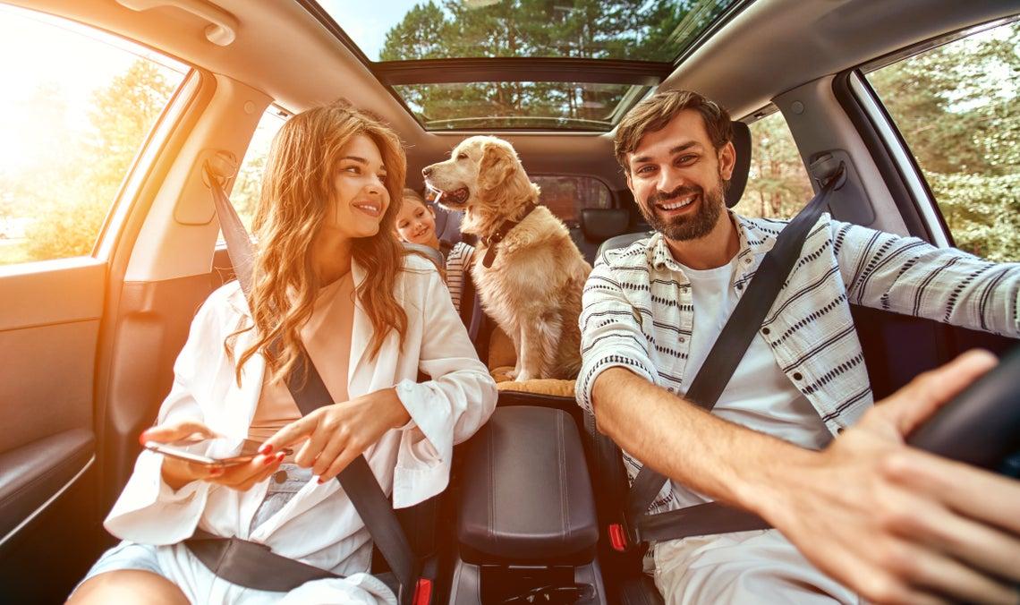 How to Travel With Your Dog: Road Trip Tips Every Pet Owner Should Know