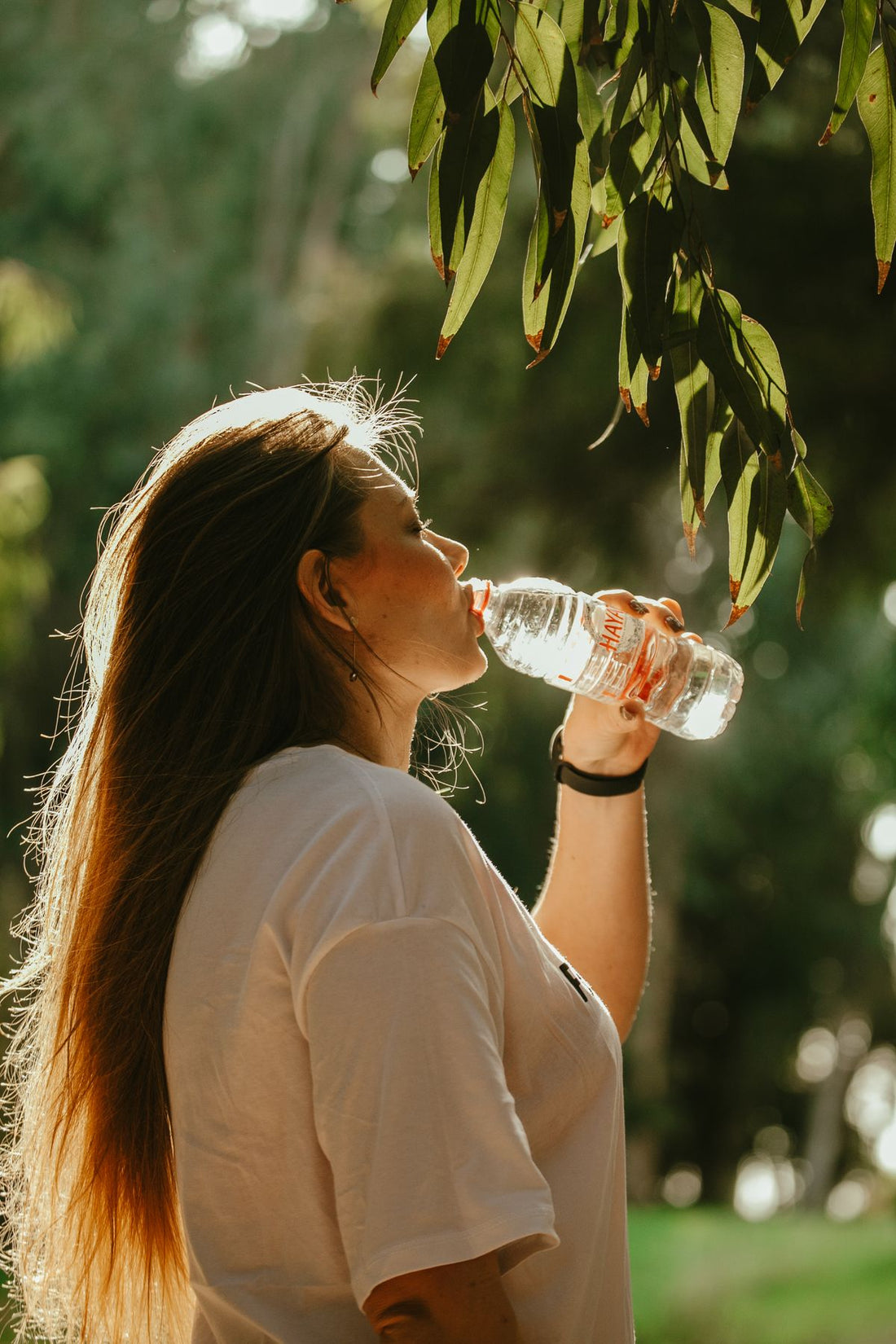 Woman drinking water outdoors on a sunny day — balanced hydration for hikers