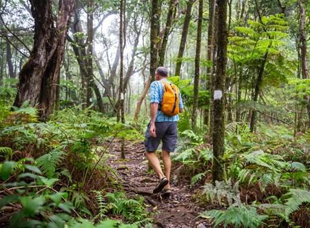 Why Hiking Is One of the Best Outdoor Activities for Mental Health