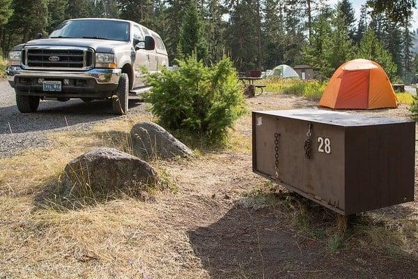 How to Keep Bears Away From Your Campsite Safely