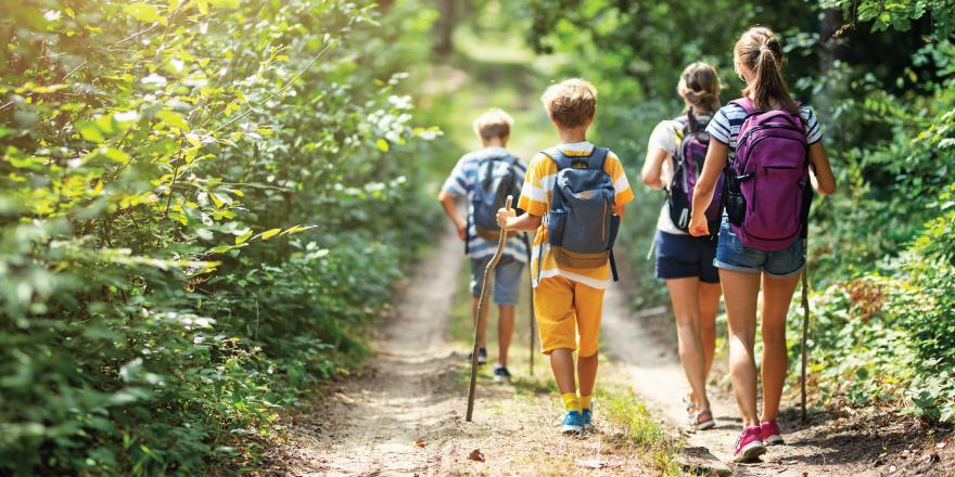 Hiking Essentials for Beginners: What You Really Need
