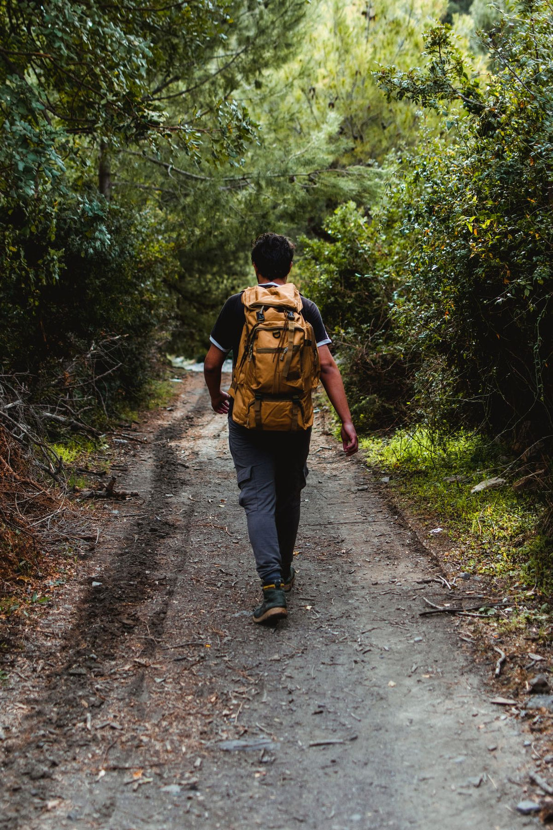 hiker wearing a packed daypack walking a forest trail