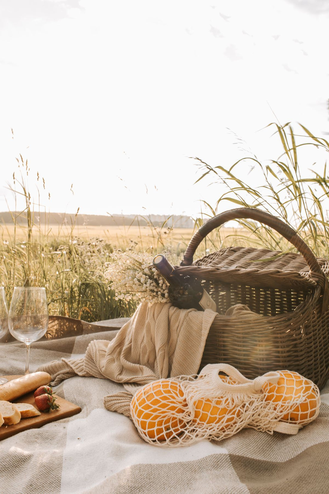 picnic basket with fresh oranges and hydrating fruit snacks for hikers in a sunny meadow