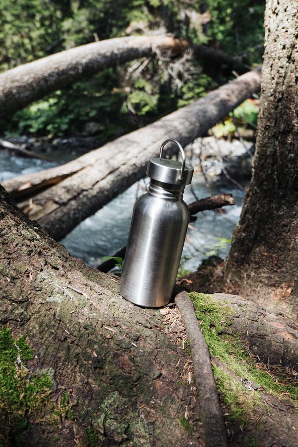 stainless steel insulated water bottle resting on a fallen tree log by a forest stream