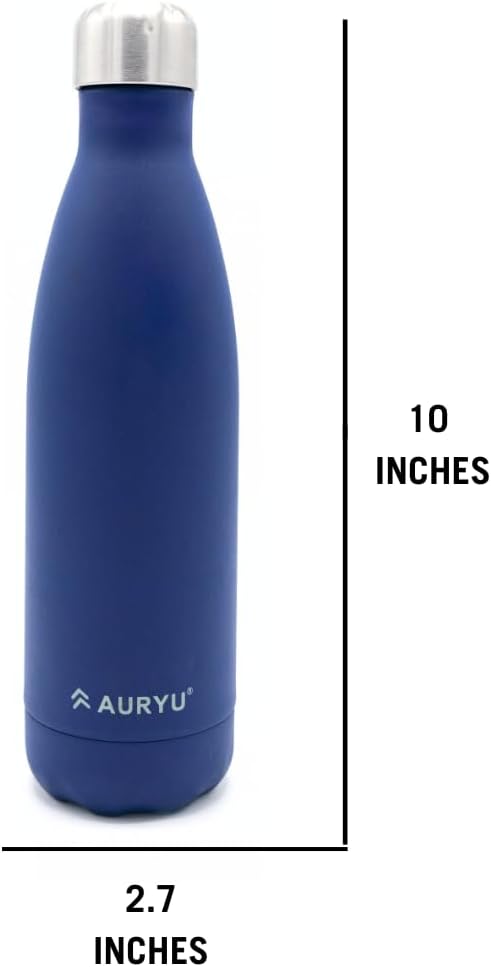 Triple-Walled Insulated Stainless Steel Water Bottle with Bonus Handle, 17oz, Drinks Cold for 24h & Hot for 12h, Leak Proof, Navy Blue