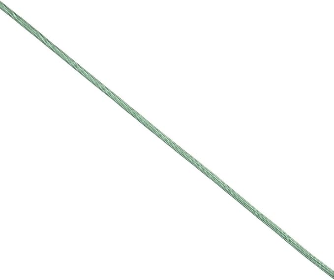 Paracord Planet Solid Color 550lb Paracord – 7 Strand Type III Nylon Cord for Indoor and Outdoor Tasks – Sage Green (100 ft)