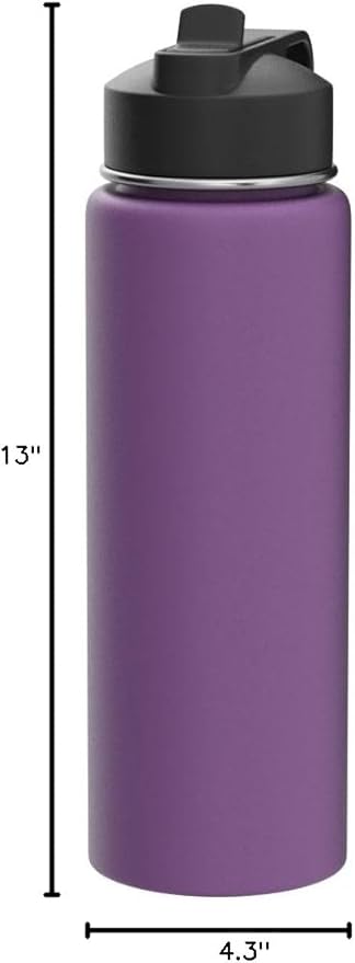 ThermoFlask 24 oz Double Wall Vacuum Insulated Stainless Steel Water Bottle - Reusable with Leakproof Chug & Straw Lids - Keeps Drinks Cold 24 hr/Hot 12 hr - Easy Maintenance - Gym/On-the-Go, Plum