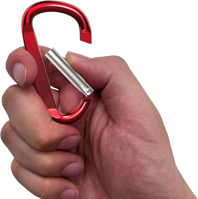 3" Aluminum Carabiner Clips, 12PCS D Ring Shape Keychain Carabiners Hook Buckle