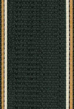 Lawn Chair USA Replacement Lawn Chair Webbing - Webbing for Lawn Chairs, Beach and Camping. UV-Resistant Webbing Strap Made with Durable Polypropylene (2 1/4" x 50', Charleston Green)