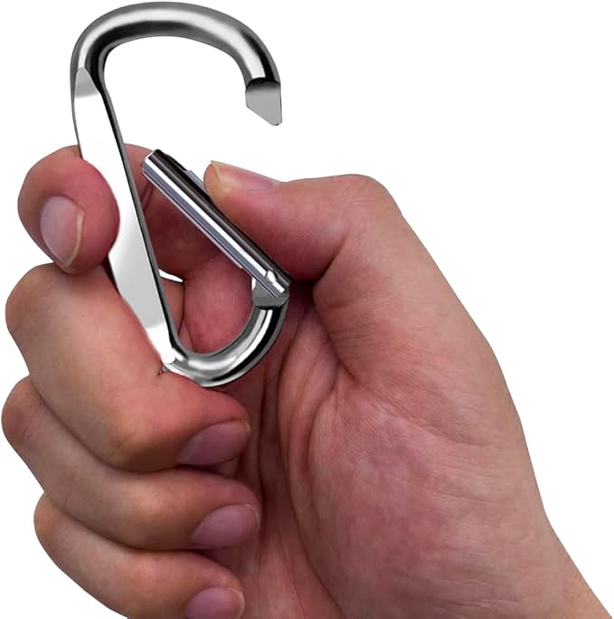3" Aluminum Carabiner Clips, 12PCS D Ring Shape Keychain Carabiners Hook Buckle