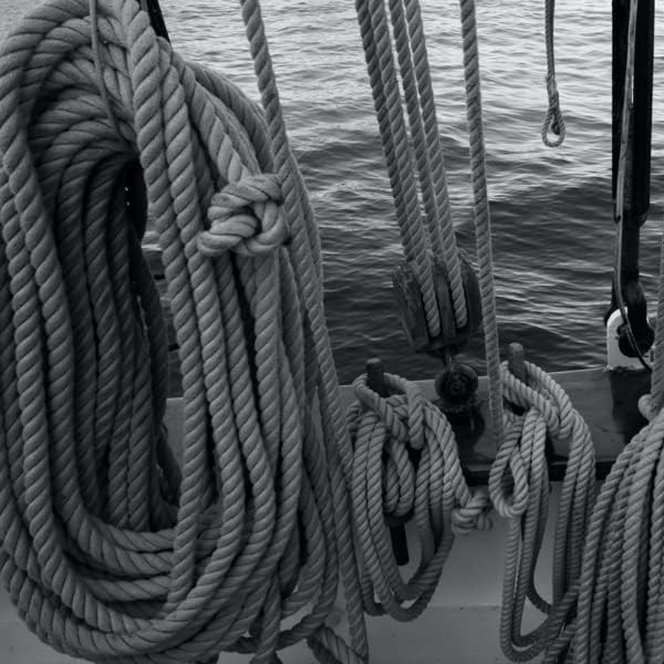 Rope & Cord 12-Strand DYMAX Rope | Gray | 10, 25, 50, 100, 600 ft | ½, ¼, 1/8, 3/8, 5/16 in | Made in The USA