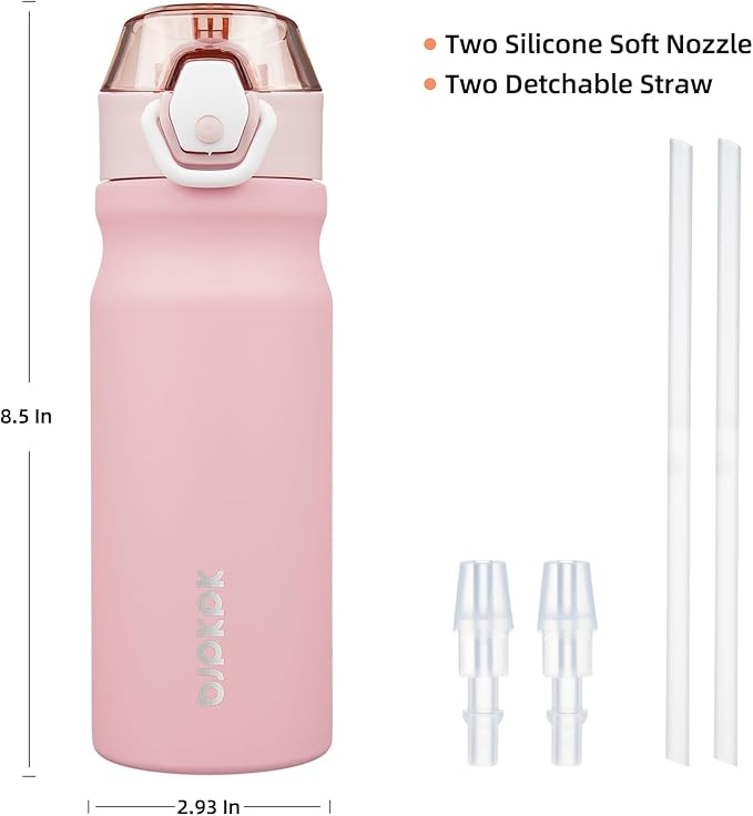 BJPKPK Water Bottle with Straw 18oz Insulated Water Bottles Reusable Stainless Steel Metal Thermal Flask with Leak Proof Lockable Lid and Carry Handle,Light Pink
