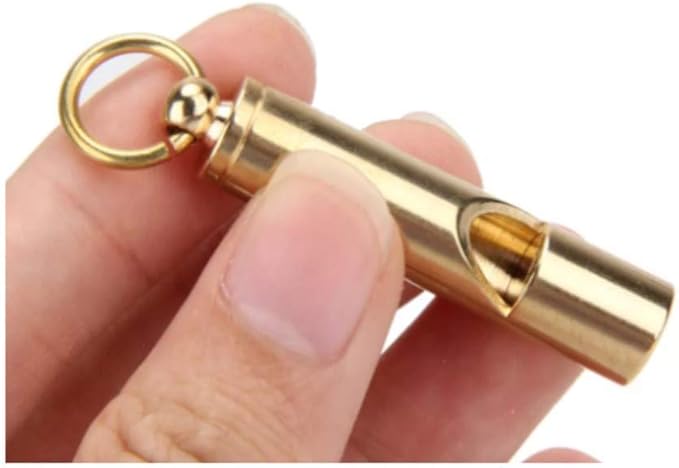 Brass Compass with Solid Brass Whistle - Survival Set - 105 Decibels - Carry in Pocket or on Necklace - Two Pieces