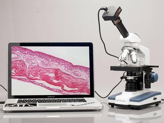 AmScope M620B Compound Monocular Microscope, WF10x and WF20x Eyepieces, 40x-2000x Magnification, Brightfield, LED Illumination, Abbe Condenser, Mechanical Stage, 110V