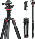 NEEWER Basics Carbon Fiber Travel Tripod Monopod, 64" Compact Lightweight Portable Camera Cell Phone Holder Stand Compatible with iPhone Video Recording, Arca Type Ball Head, Max Load 13.2 lbs, TP17B