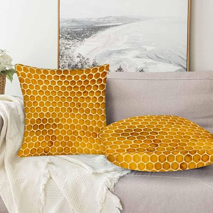 Bee Honeycomb Throw Pillow Covers 18x18 Yellow Honey Abstract Set of 2 Pillow Cases Square Velvet Outdoor Pillowcases Decorative for Home Bed Sofa Couch Hotel