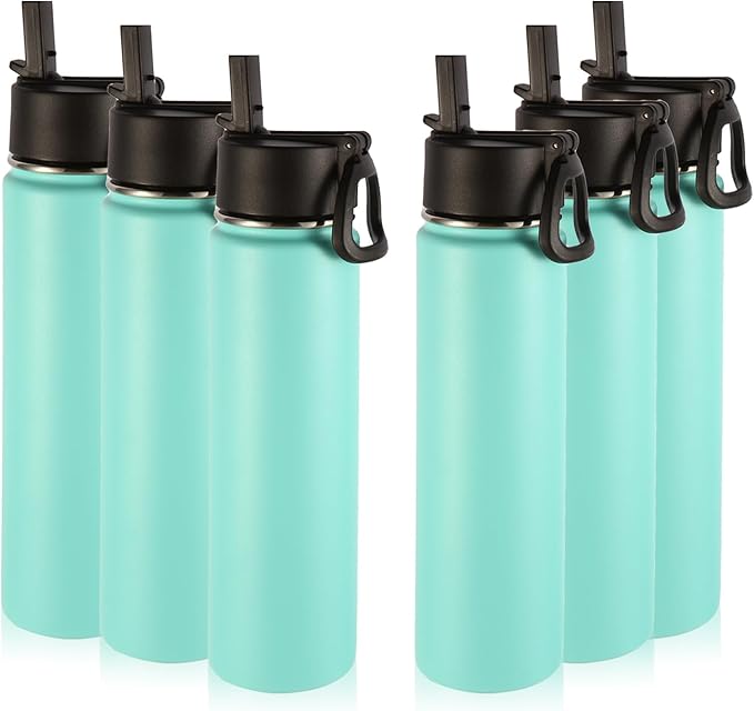 Volhoply 24oz Insulated Water Bottle With Straw Bulk 6 Pack,Metal Wide Mouth Water Bottles With Handle Lid Keep Cold,Reusable Double Wall Cups,Powder Coated Sport Bottle For Holder(Mint,6 Count)