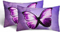 Purple Butterfly Couch Pillow Covers 12 X 20 Vibrant Magical Nature Insect Set of 2 Pillowcases Velvet Outdoor Cushion Pillow Cases Decorative for Home Bed Sofa Couch Hotel