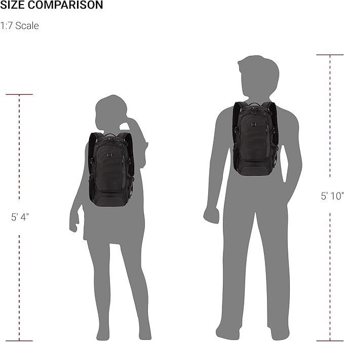 SwissGear 3598 Backpack Narrow Daypack, Black Ballistic, 18-Inch
