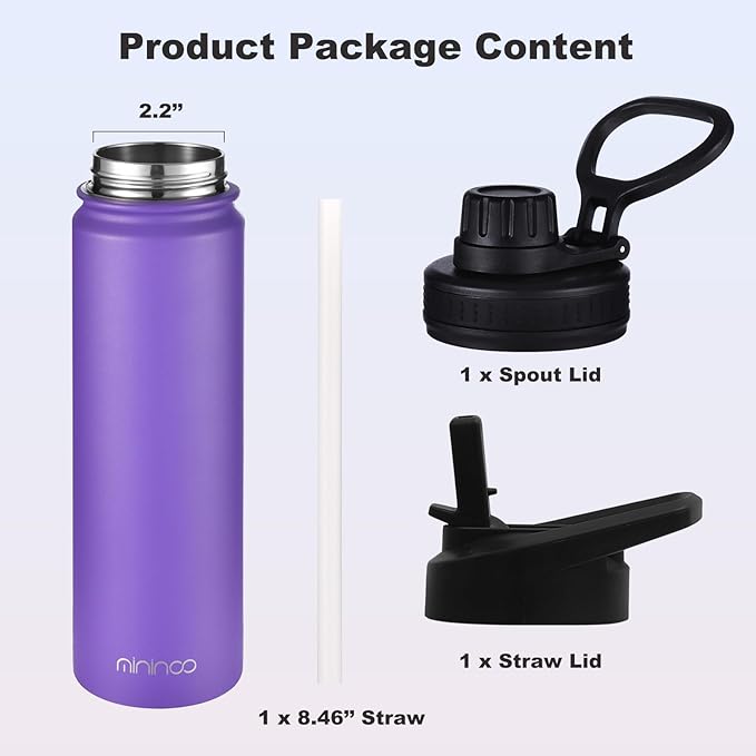 mininoo 24 oz Insulated Water Bottle with Straw Lid, Stainless Steel Double Wall Vacuum, Leak Proof, BPA Free, Keep Cold for 24H & Hot for 12H(Purple)