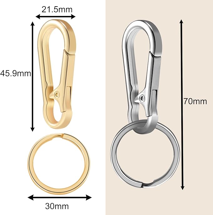 2pcs Metal Keychain Rings, Sturdy Key Chain Ring Carabiner Clip, Key Holder Organizer for Purse Charms Hook, Paracord Keychain Lanyard, Men and Women Home Car Keyrings (Silver and Light Gold)