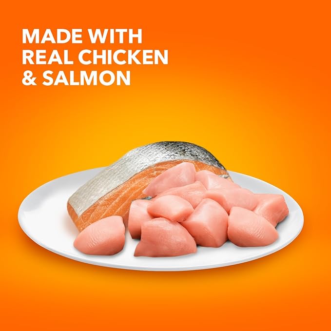 IAMS Healthy Enjoyment Dry Cat Food Chicken & Salmon Recipe, Cat Food Dry Recipe, 6 lb. Bag