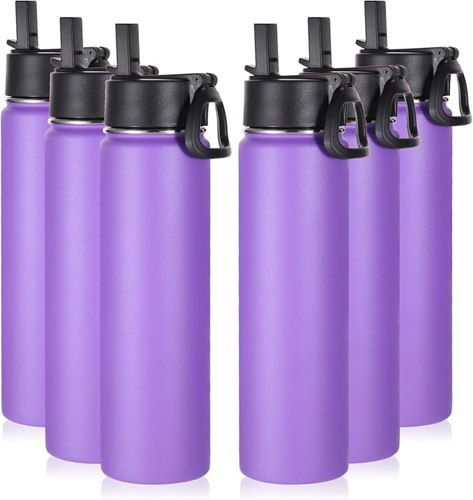 Volhoply 24oz Insulated Water Bottle With Straw Bulk 6 Pack,Metal Wide Mouth Water Bottles With Handle Lid Keep Cold,Reusable Double Wall Cups,Powder Coated Sport Bottle For Holder(Purple,6 Count)
