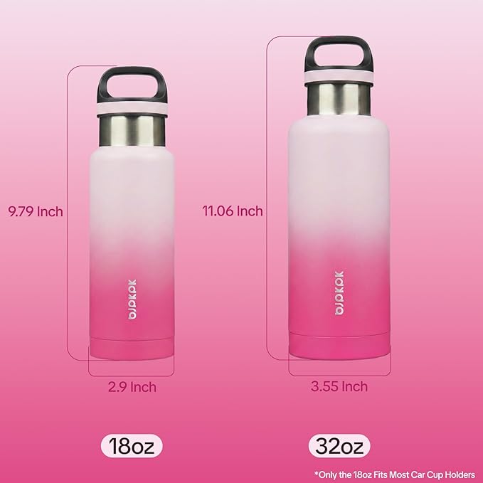 BJPKPK Insulated Water Bottle 18OZ Stainless Steel Water Bottle with Handle Double Walls Vacuum Insulated BPA Free Flask, Cherry