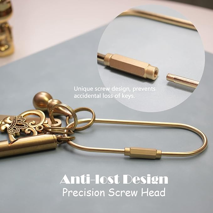 CMVFYL Gold Brass Key Rings, Purse Bag Charms for Handbags, Screw Lock Key Organizer, Carabiner Keychain Clip for Keys
