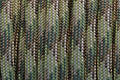 BORED? PARACORD! 550 lb Paracord – Ideal for Crafting, DIY Projects, Camping, Military & Active Outdoors – 300+ Colors – Tactical Parachute Cord Type III – Strong - Multi Cam 50 Feet