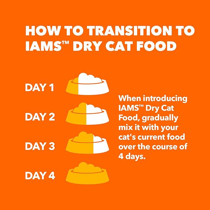 IAMS Healthy Enjoyment Dry Cat Food Chicken & Salmon Recipe, Cat Food Dry Recipe, 3 lb. Bag