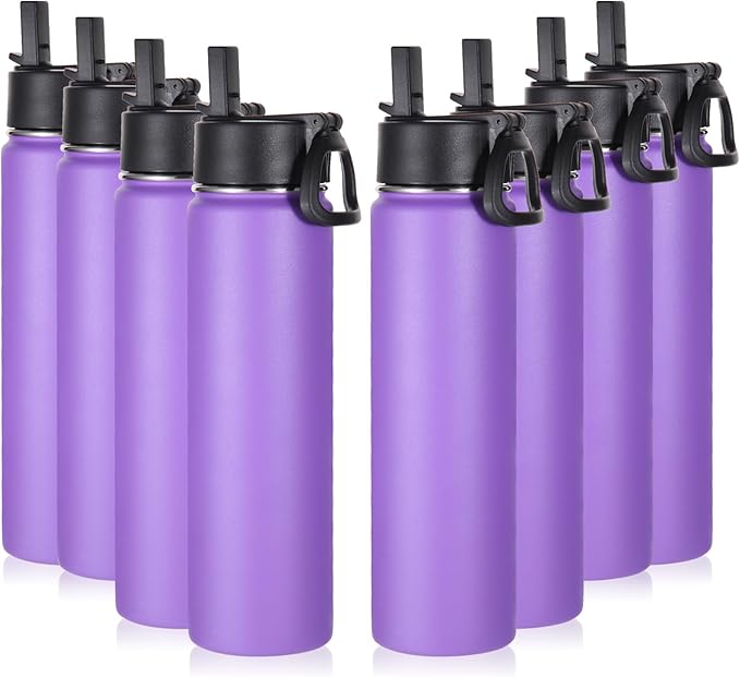 Volhoply 24oz Insulated Water Bottle with Straw Bulk 8 Pack,Metal Wide Mouth Water Bottles with Handle Lid Keep Cold,Reusable Double Wall Cups,Powder Coated Sport Bottle For Holder(Purple,8 Count)