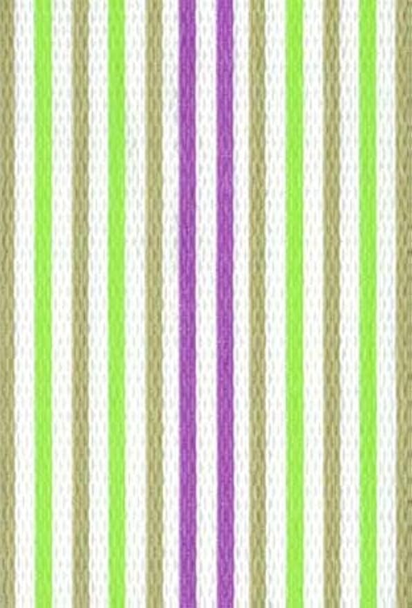 Lawn Chair USA Replacement Webbing Kit - UV-Resistant Straps for Lawn Chairs, Durable Polypropylene (2 1/4" x 50', Spring Fling White)