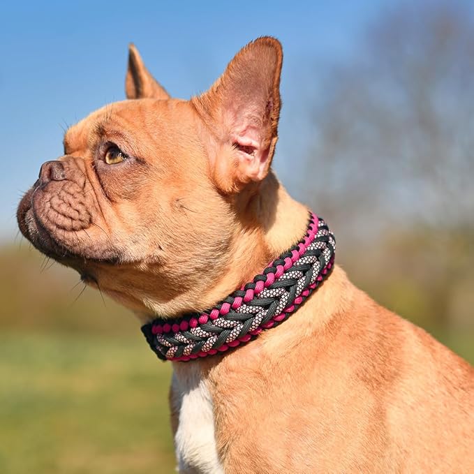 HERCULES 750lb Paracord 4mm 11 Strands Tactical Parachute Cord, 50' 100' 250' 1000' Utility Rope for Camping, Survival, Outdoor Gear (Neon Yellow, 100FT)