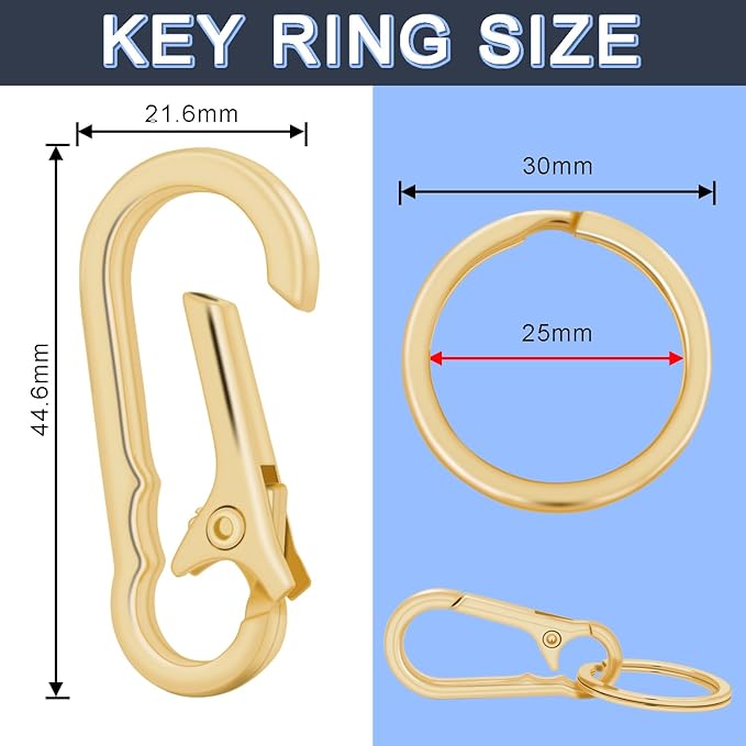 4Pack Small Keychain Rings, Metal Key Carabiner Clip, Mini EDC Key Ring Chain Holder Organizer for Purse Charm Hook, Car Keychain, Paracord Keychain Lanyard, Men and Women Key Fob (Light Gold)