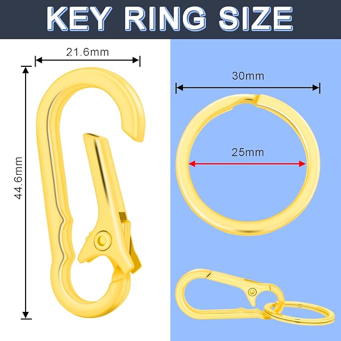 CooBigo 4Pack Small Keychain Rings, Metal Key Carabiner Clip, Mini EDC Key Ring Chain Holder Organizer for Purse Charm Hook, Car Keychain, Paracord Keychain Lanyard, Men and Women Key Fob (Gold)