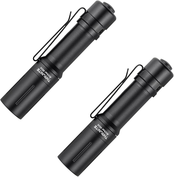 ThruNite Archer Mini Pocket EDC Pen Flashlight, USB-C Rechargeable Mini LED Flashlights, 405 Lumens Slim Pen Light with Clip for Inspection - Cool White(2PCS)