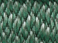 7 Strand Core 550lb Paracord Parachute Cord Lanyard Mil Spec Type III-100ft (Grass Green Camo(66#))