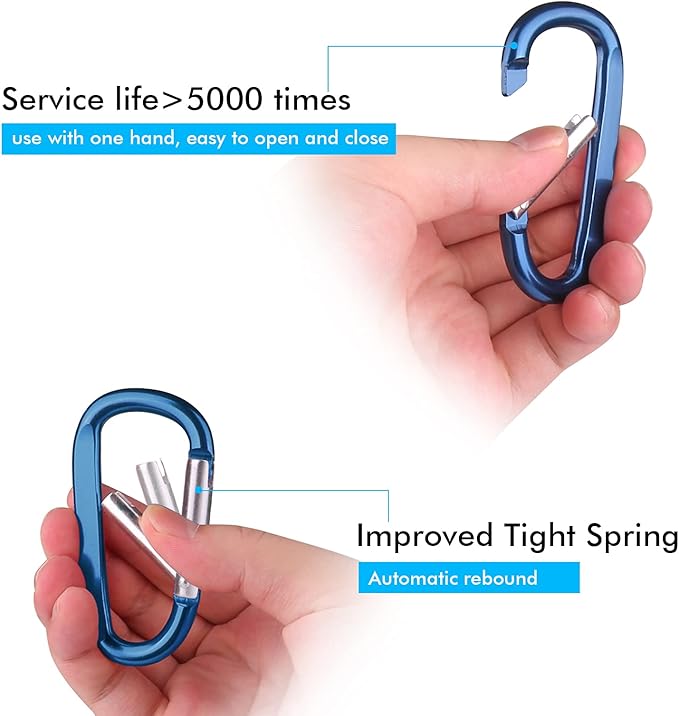 CampTek Carabiner Caribeaner Clip,3" Large Aluminum D Ring Shape Carabeaner with Keyring Keychain Hook