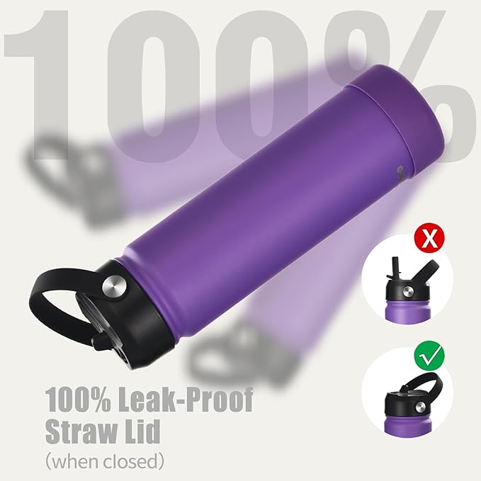 Insulated Stainless Steel Water Bottle with Straw, Ceramic-Lined, BPA-Free & Leak-Proof, 24 oz, Bright Violet