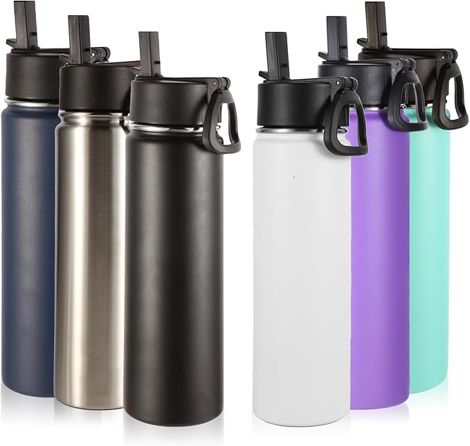Volhoply 24oz Insulated Water Bottle With Straw Bulk 6 Pack,Metal Wide Mouth Water Bottles With Handle Lid Keep Cold,Reusable Double Wall Cups,Powder Coated Sport Bottle For Holder(Mix,6 Count)