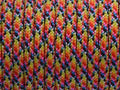 7 Strand Core 550lb Paracord Parachute Cord Lanyard Mil Spec Type III-100ft (Bright Rainbow(77#))