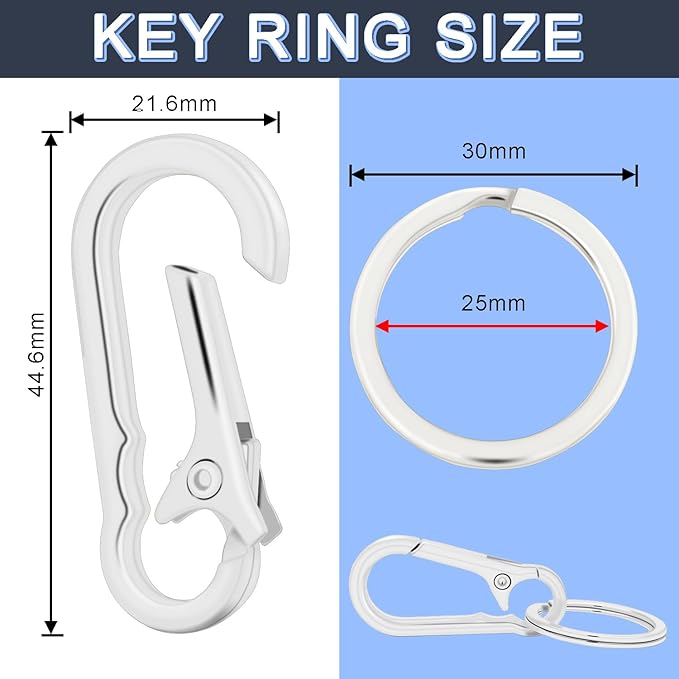 CooBigo 4Pack Small Keychain Rings, Metal Key Carabiner Clip, Mini EDC Key Ring Chain Holder Organizer for Purse Charm Hook, Car Keychain, Paracord Keychain Lanyard, Men and Women Key Fob (Silver)
