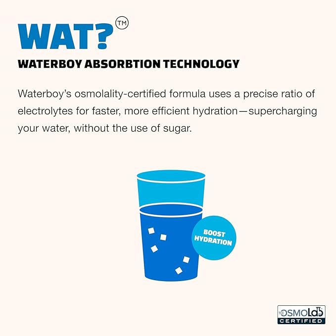 Waterboy Workout Hydration | 2,960mg Sugar Free Electrolyte Powder Packets | L-Glutamine + Vitamins | No Sugar, All Natural, Gluten Free | 15 Drink Stick Mixes (Fruit Punch)